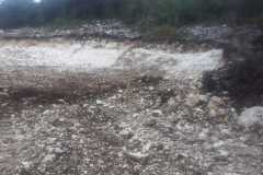IMG-20220614-WA0022