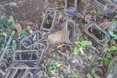 IMG-20220614-WA0024