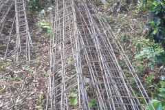IMG-20220614-WA0029